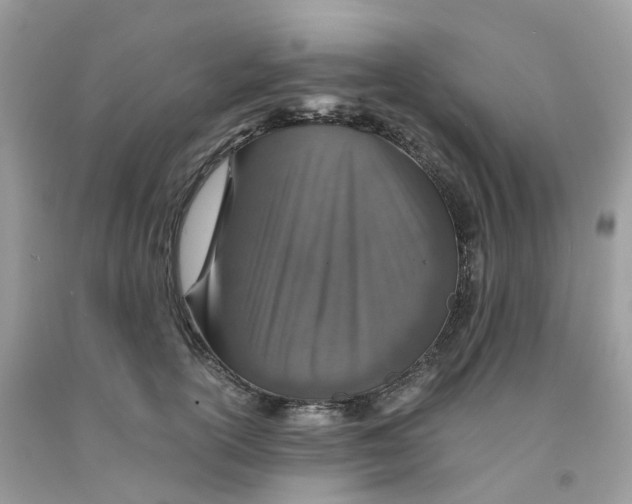 X0000091550754200709141515