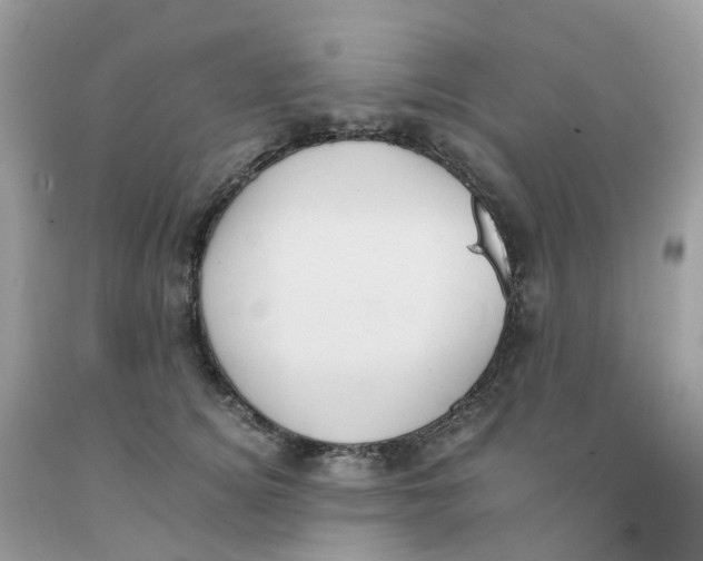 X0000091550756200709141515