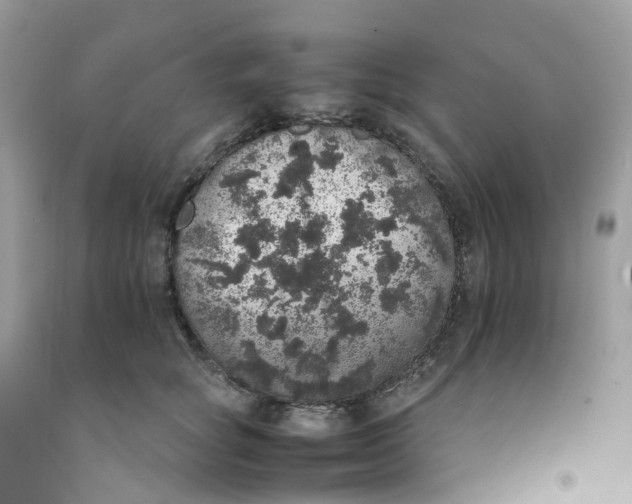 X0000091550757200709141515