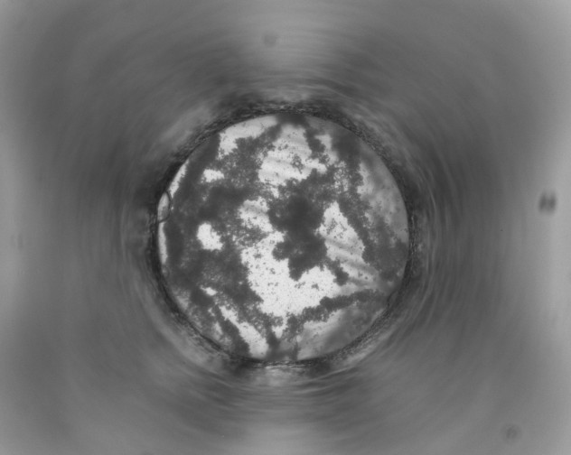 X0000091550758200709141515