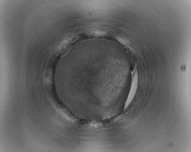 X0000091550760200709141515