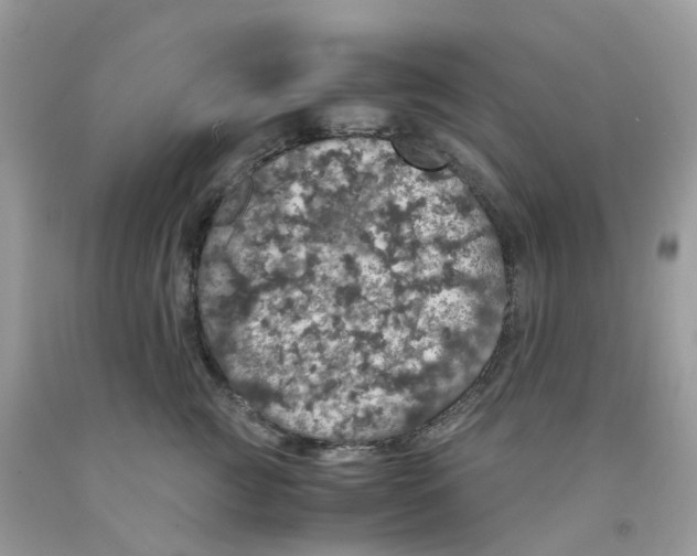 X0000091550761200709141515