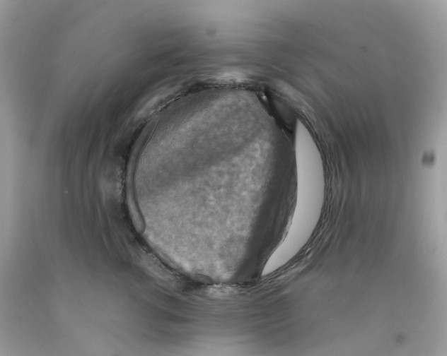 X0000091550762200709141515