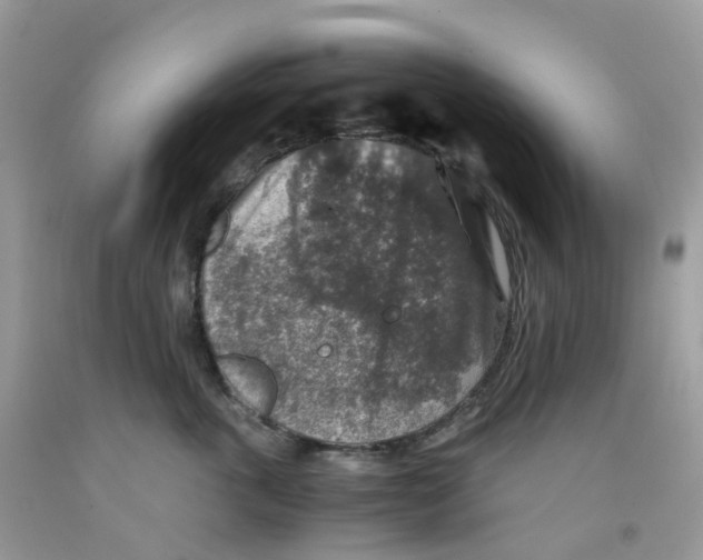 X0000091550763200709141515