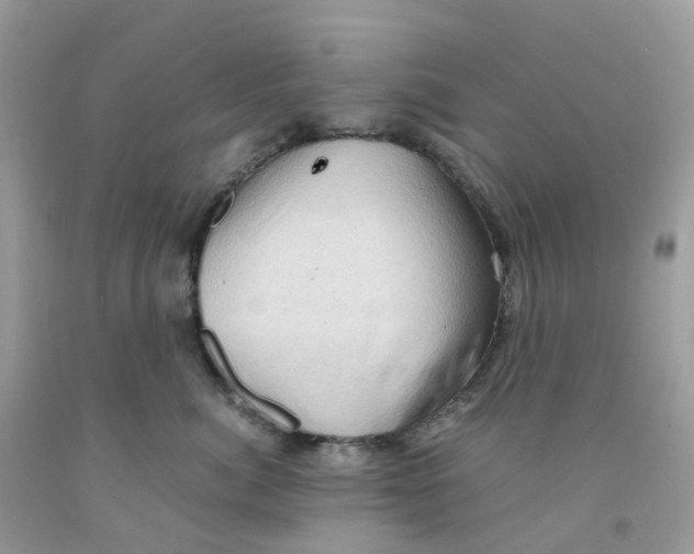 X0000091550764200709141515