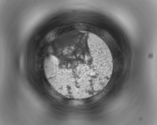 X0000091550765200709141515