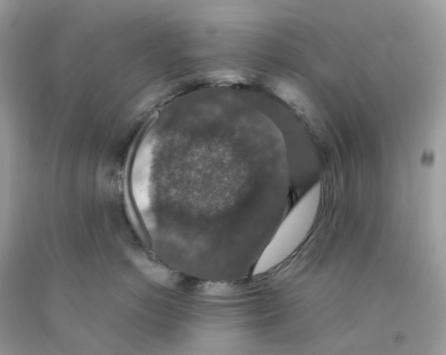 X0000091550766200709141515