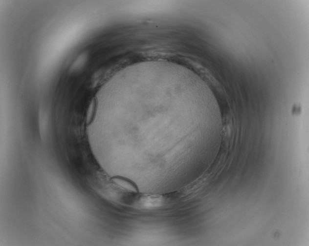 X0000091550767200709141515