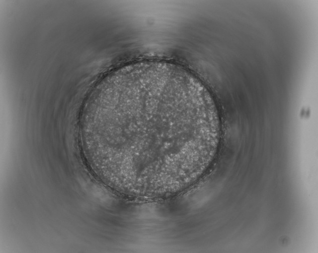 X0000091550769200709141515