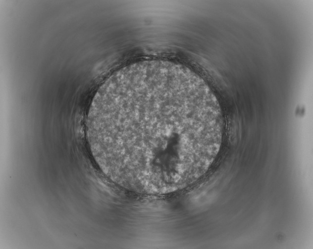 X0000091550770200709141515