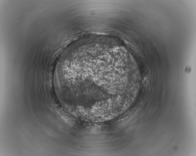 X0000091550772200709141515