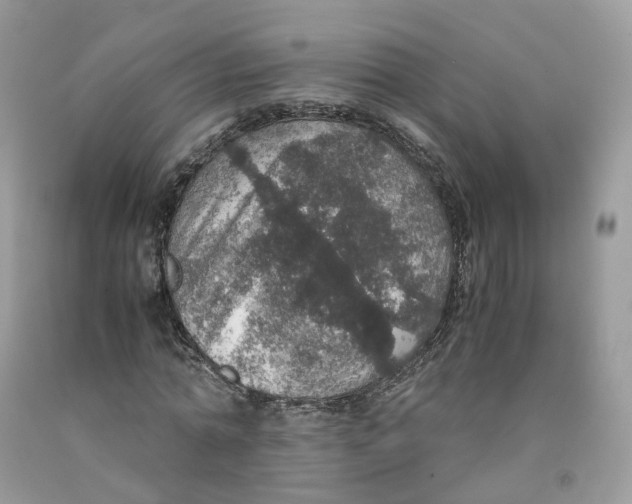 X0000091550774200709141515