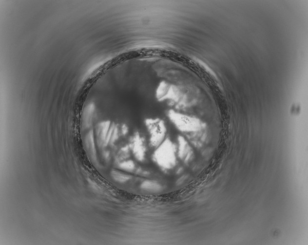 X0000091550775200709141515