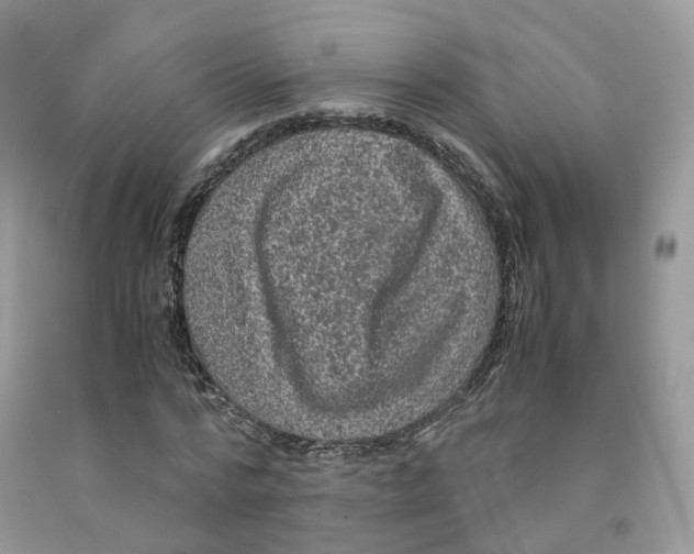 X0000091550776200709141515