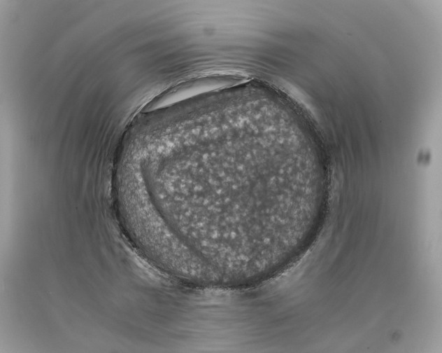 X0000091550777200709141515