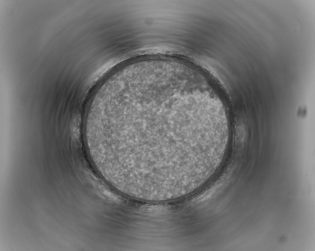 X0000091550778200709141515