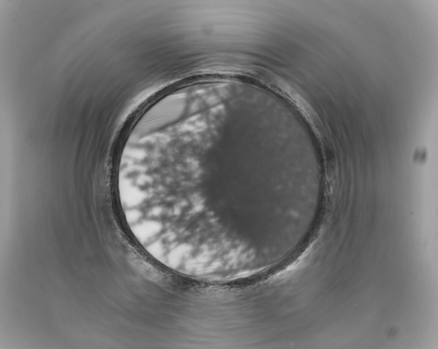 X0000091550779200709141515