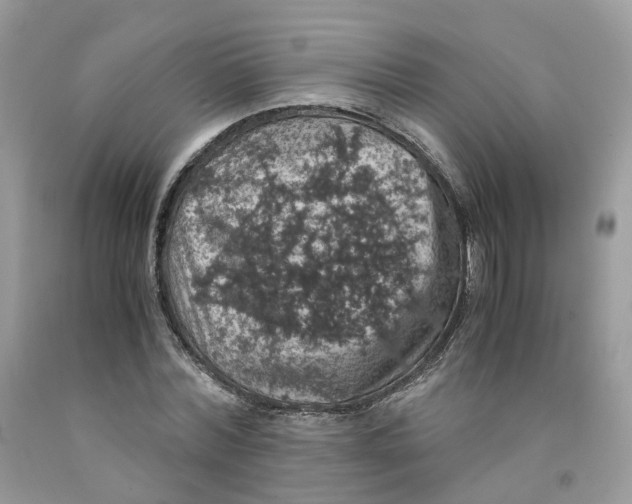 X0000091550780200709141515