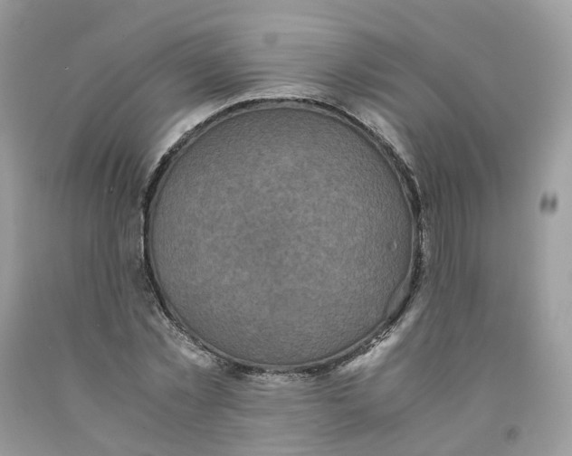 X0000091550781200709141515