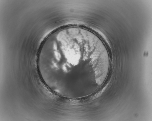 X0000091550783200709141515