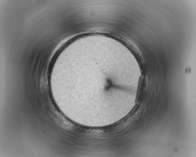 X0000091550784200709141515