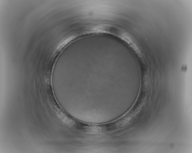 X0000091550785200709141515