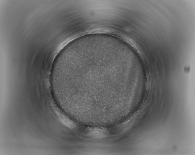 X0000091550786200709141515