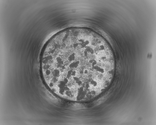 X0000091550787200709141515