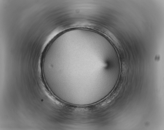 X0000091550788200709141515