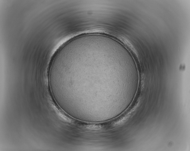 X0000091550789200709141515