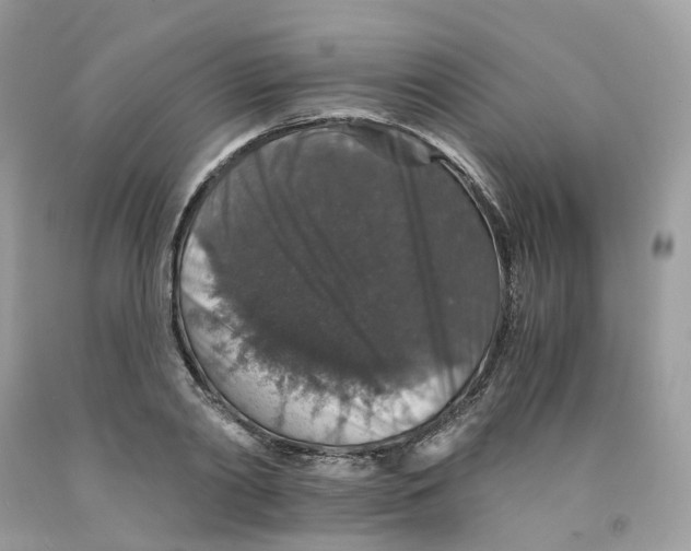 X0000091550790200709141515