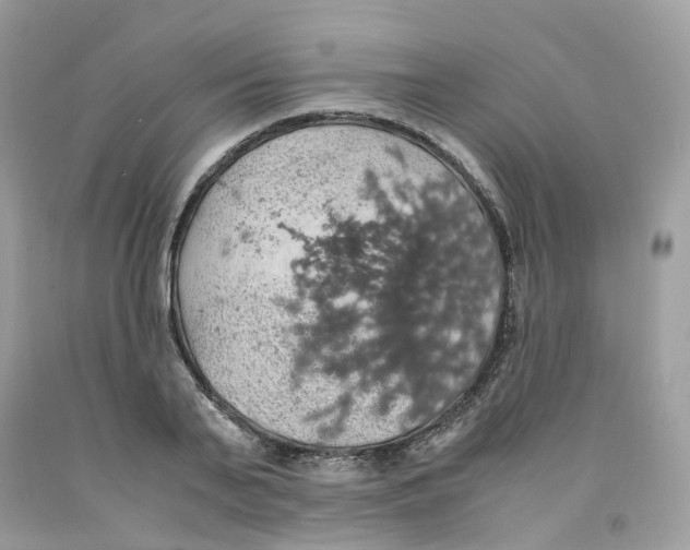 X0000091550791200709141515