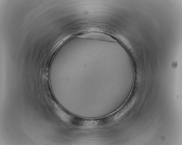 X0000091550793200709141515