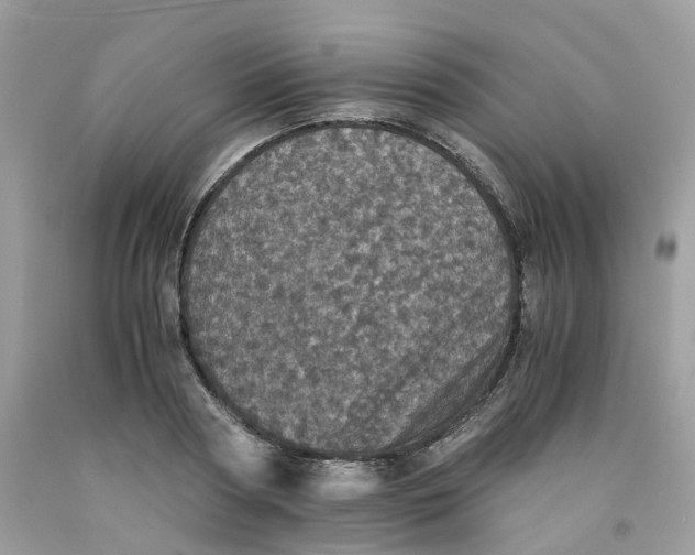 X0000091550794200709141515