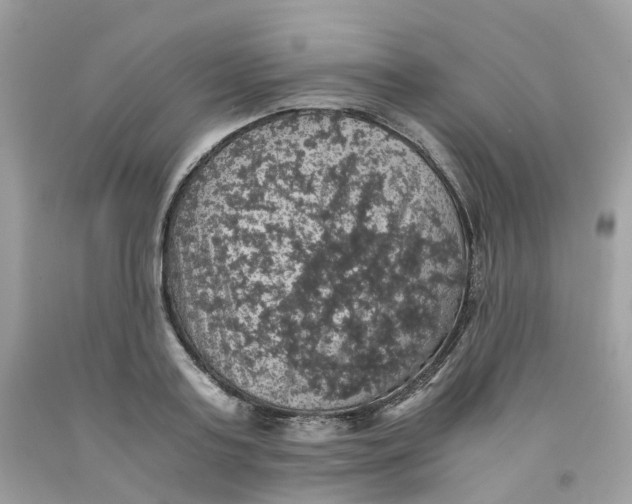 X0000091550795200709141515