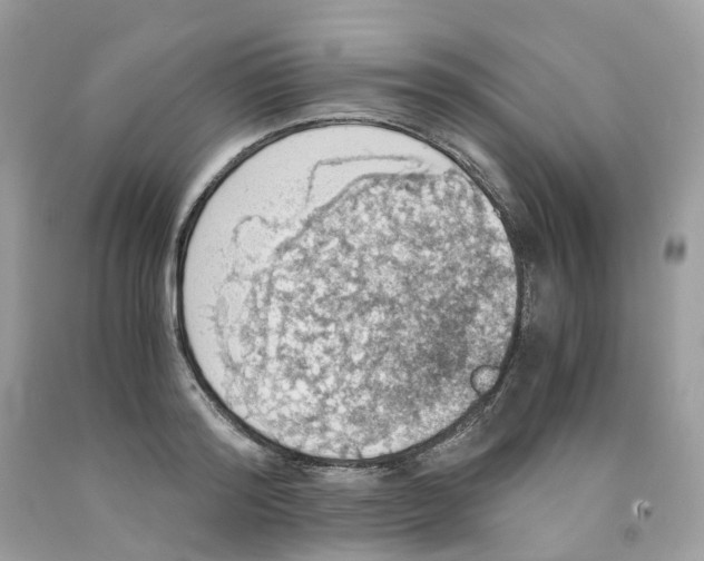 X0000091550796200709141515