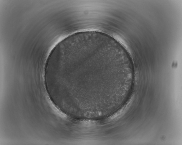 X0000091550797200709141514