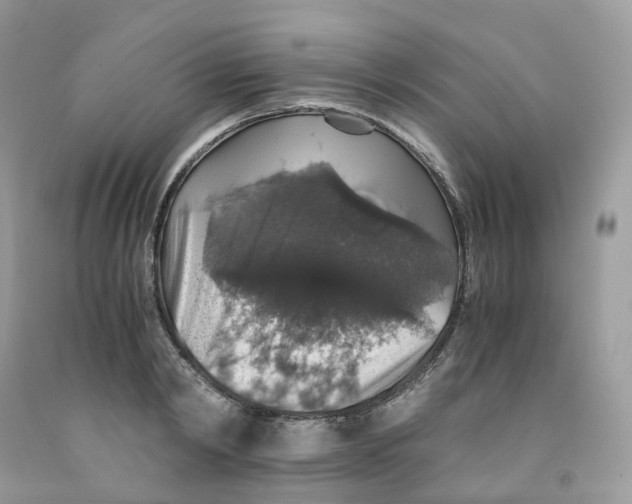 X0000091550798200709141514