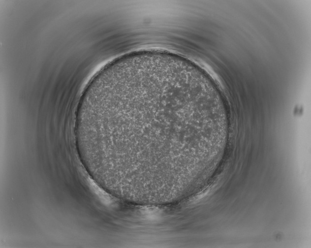 X0000091550799200709141514