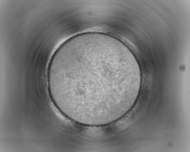 X0000091550800200709141514