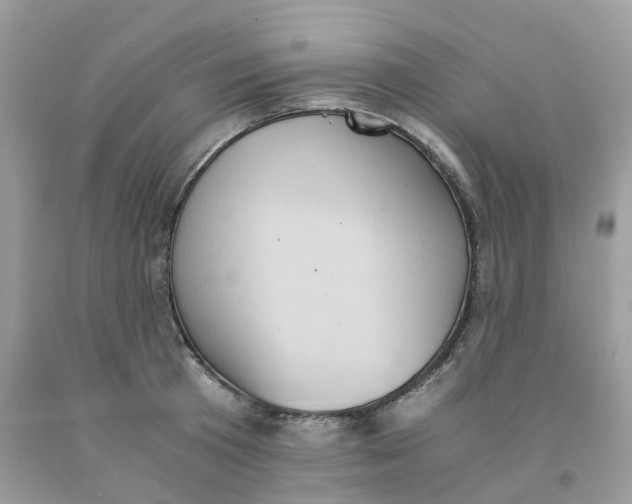 X0000091550801200709141514