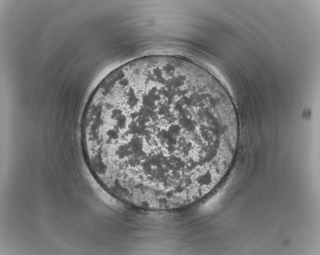 X0000091550803200709141514