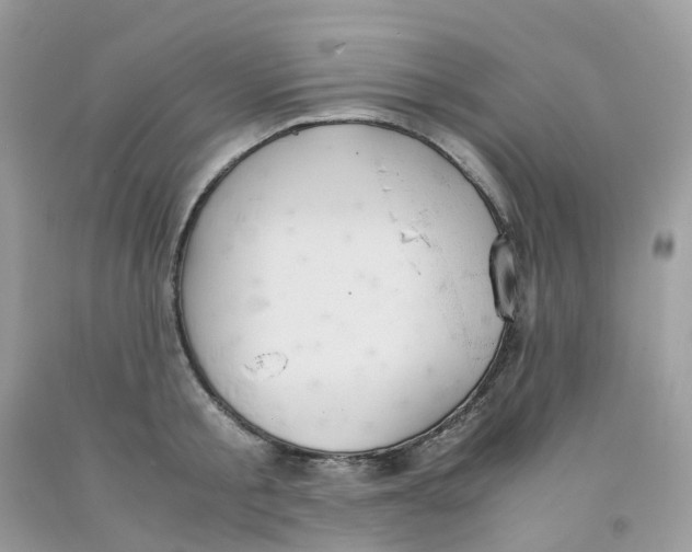 X0000091550805200709141514