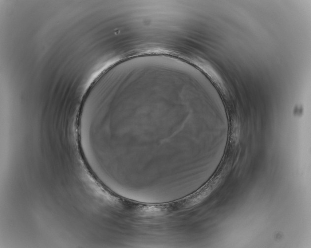 X0000091550806200709141514