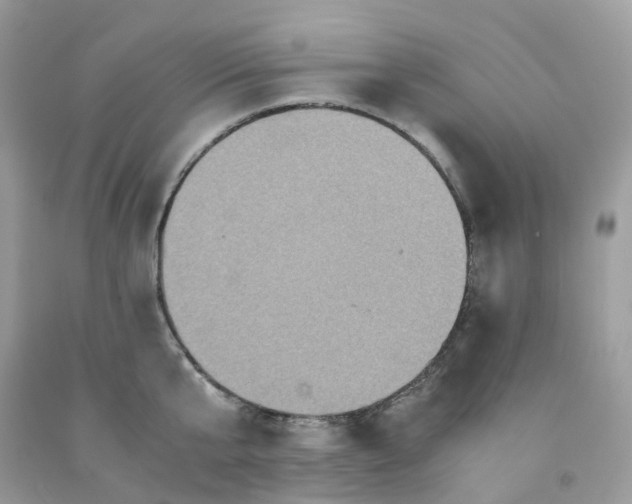 X0000091550807200709141514