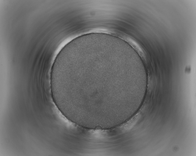 X0000091550808200709141514