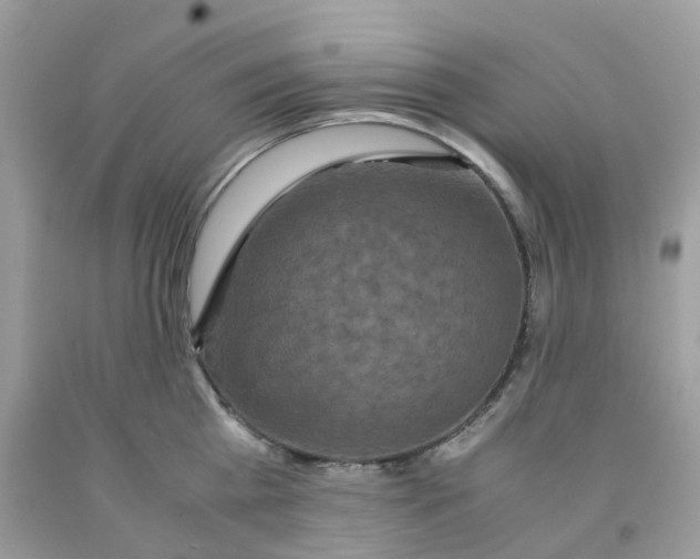 X0000091550809200709141514