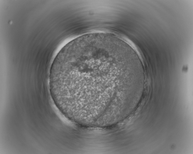 X0000091550811200709141514