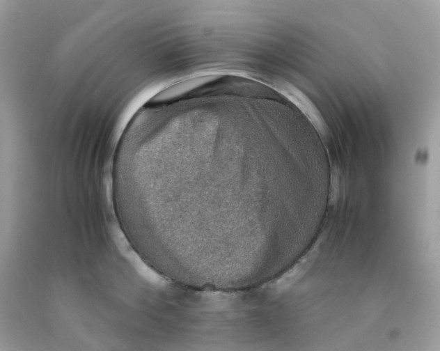 X0000091550812200709141514