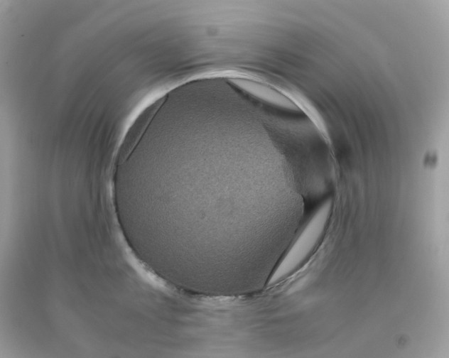 X0000091550813200709141514